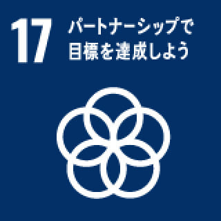 17 パートナーシップで目標を達成しよう